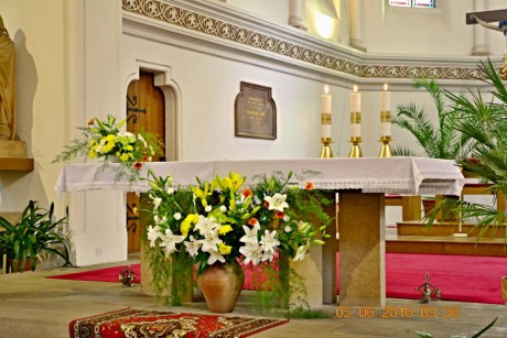 2016 - 06 (O1) Svátek sv. NORBERTA, celebr.opat  Michal Pojezdný 233