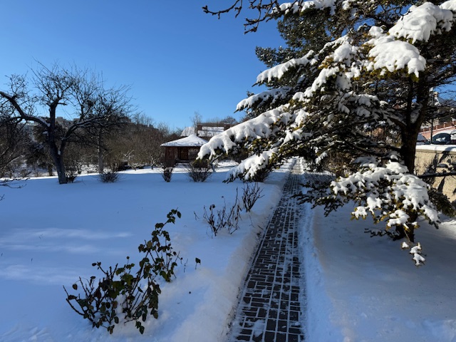 areál u klášterní kaple 2