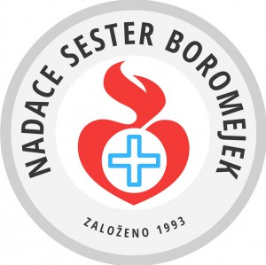 nsb_logo.jpg