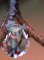 adventni-obnova-2025-det.png