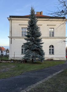 vanocni-strom-v-arealu-u-fary.png